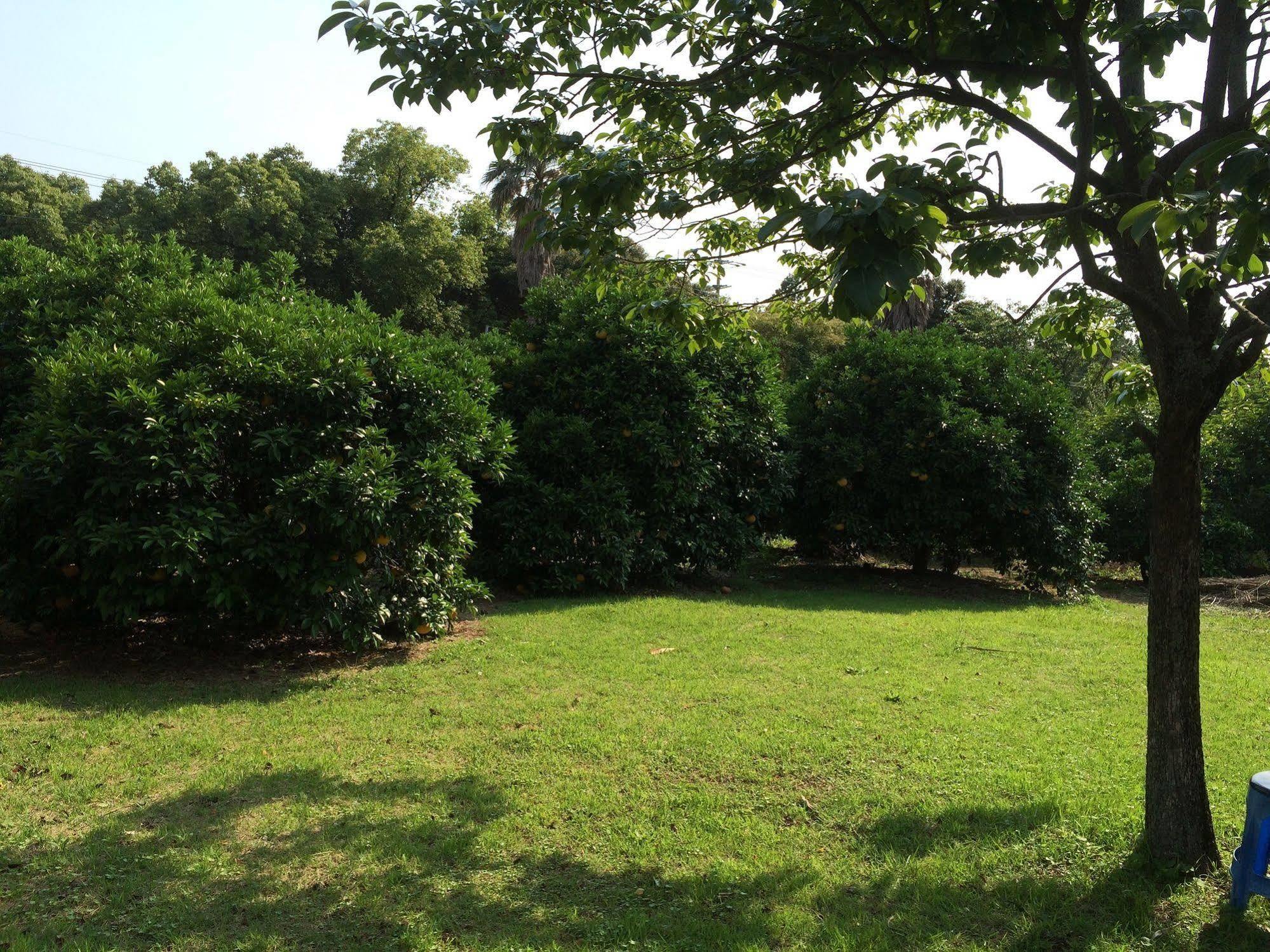 Greenside Pension Seogwipo Ngoại thất bức ảnh