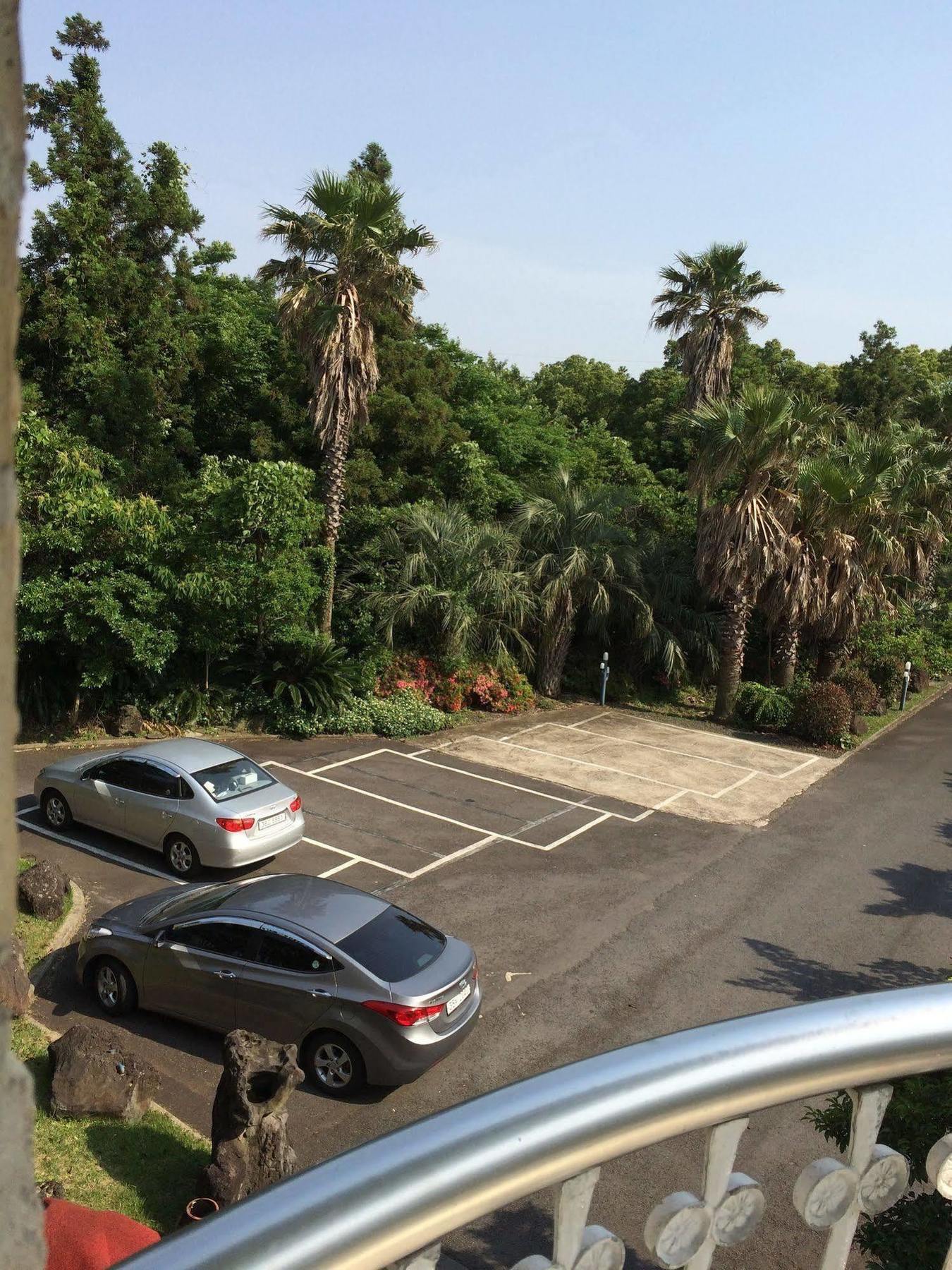 Greenside Pension Seogwipo Ngoại thất bức ảnh